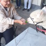 28268e57-8ce5-446b-8de4-b0ce946a2df3