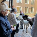 32fe3e78-fc27-49c1-b045-14d7edecfa23