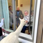 359c2862-7add-44d9-badb-f515e403dba8