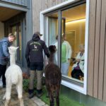 885cfc0a-5a7b-4249-bb35-6dcccf6e92c2