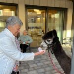 d5822bae-0bf0-4e32-b00a-1ffe68dfc2bc