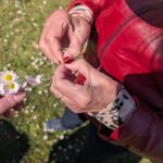 51D204D0-D5ED-453C-B704-BD67D2981753